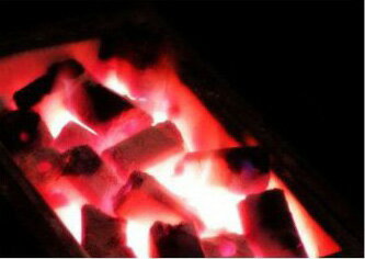 【バーベキュー炭 七輪 網焼】 オガ炭 優火備長炭(ゆうび) 10Kg通販格安セール情報 楽天 通販