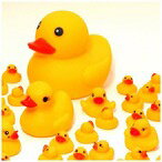 【縁日すくい】うきうきアヒルの親子 60個入 【あす楽対応】