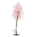 【装飾品 ひな祭り・お花見】天然木桜スタンド