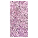 【装飾品 ひな祭り・お花見】タペストリー 満開の桜