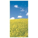 【装飾品 ひな祭り・お花見】タペストリー NEW菜の花