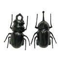 走るカブトムシ&クワガタ 25個入り