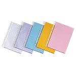 LIHITLAB クリヤーポケット N-2005 B5S 10枚 グレー