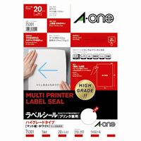 樂天商城 - エーワン ラベルシールA4ハイグレード全面20枚75301