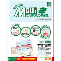Check - ヒサゴ マルチ帳票 A4 2色 2面4穴100枚 FSC2011