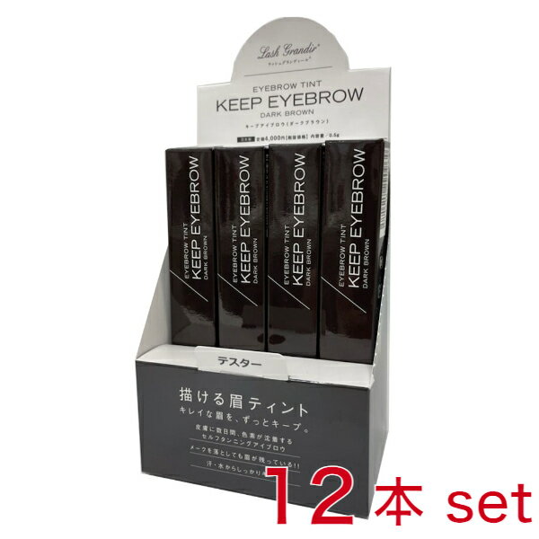 【12本セット】新色【ダークブラウン】ラッシュグランディール キープアイブロー　0.5g