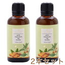 【2本セット】Shahnaz Ayurveda（シャナーズ　アーユルヴェーダ）シャーアンティセリュライト 50ml