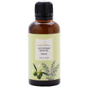 【送料無料】Shahnaz Ayurveda(シャナーズ アーユルヴェーダ)シャーバスオイル 50ml