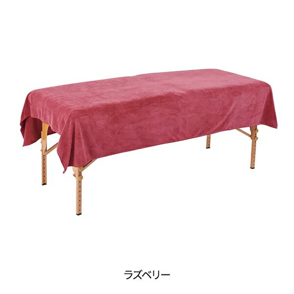 【2枚セット】エコ マイクロファイバー 大判タオル シーツ ワイド (3168匁) 140cm×215cm ラズベリー