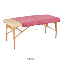 【2枚セット】エコ マイクロファイバー タオル ケット (1472匁) 90cm×160cm ラズベリー(3)