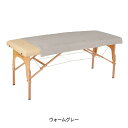 【2枚セット】タオル ケット (綿 100%)(2288匁) 90cm×160cm ウォームグレー(3)