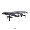 【2枚セット】マッサージベッド用ビニールカバー 幅75×長さ185cm(3)