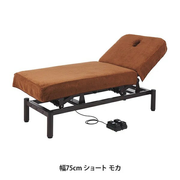 【2枚セット】昇降リクライニングベッドカバー (タオル生地)(有孔) 幅75cm ショート モカ