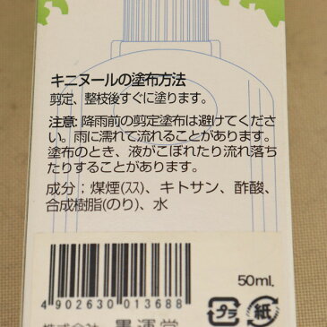 【キニヌール 50ml】樹木用切り口の保護剤 （盆栽 いよじ園）