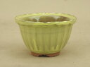 【盆栽鉢】 萬古焼 黄釉 波縁丸鉢 径10cm 小品サイズ (いよじ園 伊予路園)