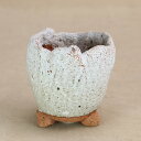 【盆栽鉢】信楽焼 竹鳳作 完全手捻りミニ鉢 (いよじ園 伊予路園)