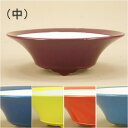 【盆栽鉢】 京焼 彩色小品鉢 反型浅丸鉢(中)(口径:11.5cm) 【いよじ園 伊予路園】