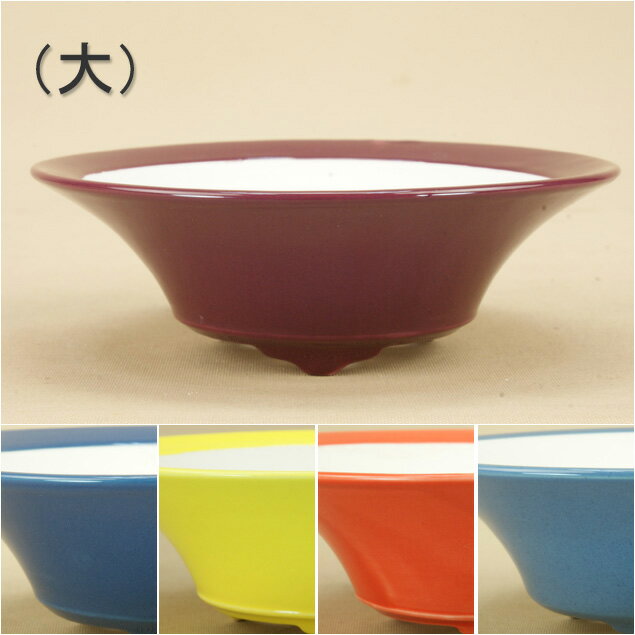 【盆栽鉢】 京焼 彩色小品鉢 反型浅丸鉢(大)(口径:14.5cm) 【いよじ園 伊予路園】