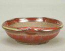 【伊予路園】【盆栽鉢】 小石原焼/変り鉢(ミニ)単品(辰砂釉)【高さ:3cm 径:9.8cm】【ミニ鉢〜小鉢】
