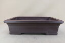 【盆栽鉢】 時代鉢 松泉焼山秋作 紫泥長方鉢(左右43.5cm 足ホツ微複数)いよじ園