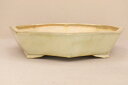 送料無料【盆栽鉢】 時代鉢 鴻陽作 白釉八角鉢(大型サイズ 対角40cm 無傷)いよじ園