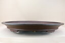 送料無料【盆栽鉢】 時代鉢 一友作 紫泥外縁楕円鉢(超大型サイズ 左右95cm 無傷 特注一級品)いよじ園