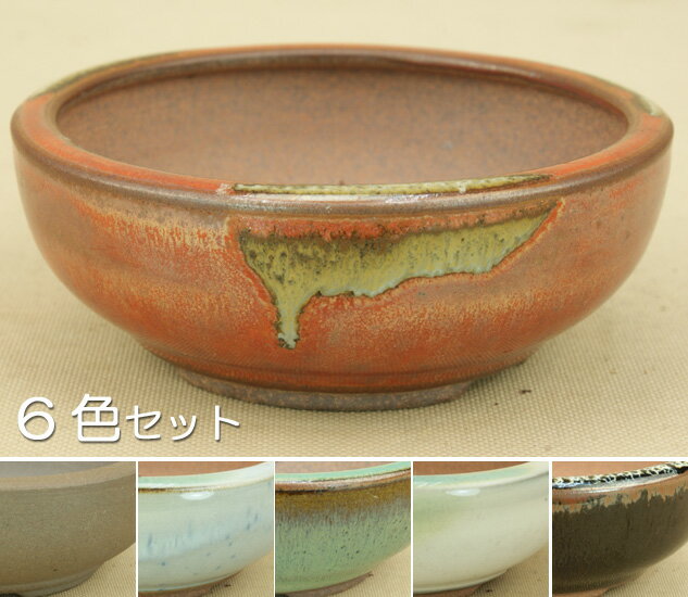 【伊予路園】 小石原焼/切立胴張丸鉢/6色セット/ミニサイズ