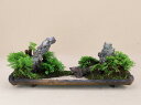 姫ヒバ(小豆島産)絶景造り三陸(いよじ園)