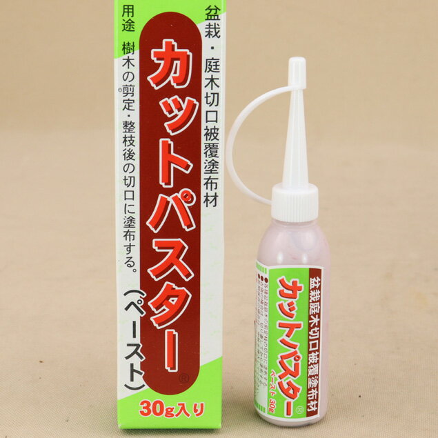 【盆栽 道具】癒合剤 カットパスター（ペースト）30g【盆栽 手入れ道具】