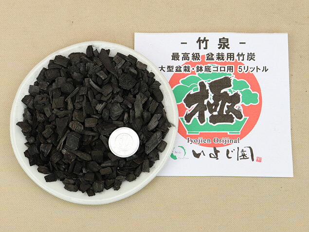 ���ߺ� ��ú�� -����- ��ͽϩ�४�ꥸ�ʥ� �ǹ�� �ߺ��� ��ú [�����ʾ�ʬ��������]�ڰ�ͽϩ���