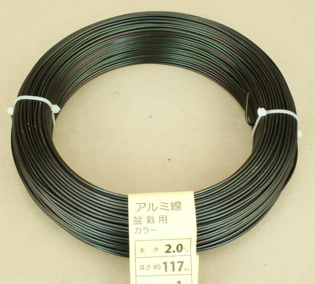 ߺ ƻ 顼ʥ֥饦1kg [2.0mm5.0mm] ڿ˶ݤۡڤ褸 ͽϩ