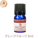 ロビンの森 グレープフルーツ 5ml プロ用 アロマオイル 精油 エッセンシャルオイル ぐれーぷふるーつ 業務用 プロ品質 高品質 アロマ