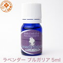 ロビンの森 アロマオイル ラベンダー ブルガリア 5ml 精油 エッセンシャルオイル アロマ