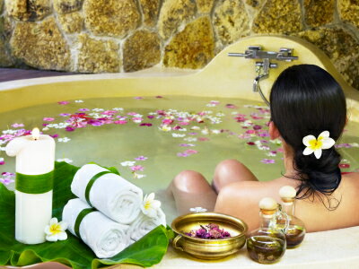 ���ӥ�ο� �ϡ��� ����ߡ��� ���㡼�ޥ� �쥮��顼 1kg �ɥ饤 �ϡ��� �ɥ饤�ϡ���