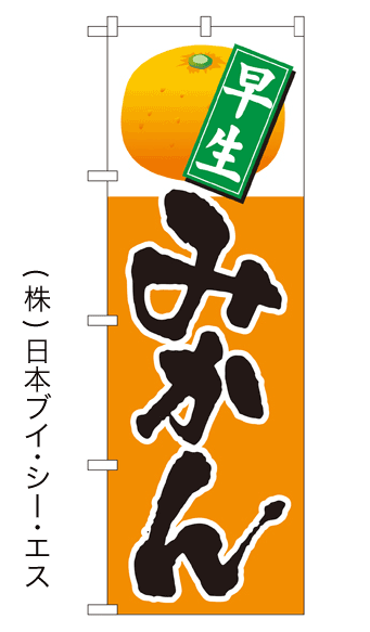 【早生 みかん】特価のぼり旗
