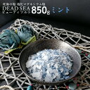 【夏季限定】 塩化マグネシウム デッドシー ビューティソルト ミント 850g 死海の塩 入浴剤 バスソルト 爽快 清涼 アロマ 死海 保湿 塩入浴 リラックス...