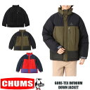 CHUMS GORE-TEX INFINIUM DOWN JACKET チャムス ゴアテックス インフィニウム ダウンジャケット　CH04-1316 防風　透湿　防寒