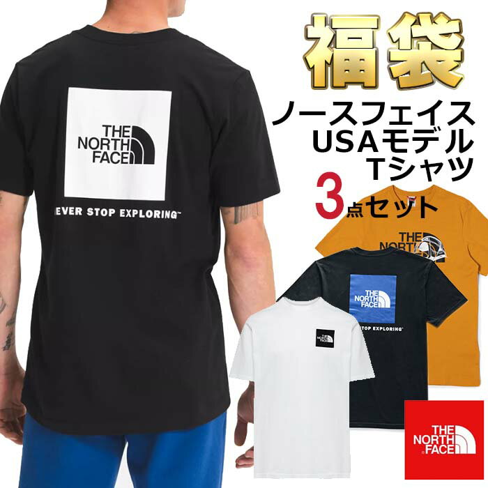 ノースフェイス Tシャツ 福袋 メンズ 3枚セット USAモデル 3枚組 THE North Face 半袖Tシャツ 3点セット まとめ買い お得 お楽しみ袋 送料無料 メンズ ブランド 福袋 2024 予約 取寄