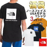 ノースフェイス Tシャツ 福袋 メンズ 3枚セット USAモデル 3枚組 THE North Face ...