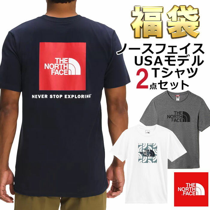 ノースフェイス Tシャツ 福袋 メンズ 2枚セット USAモデル 2枚組 THE North Face 半袖Tシャツ 2点セット まとめ買い お得 お楽しみ袋 送料無料 メンズ ブランド 福袋 2023 取寄 冬 冬服 冬セット