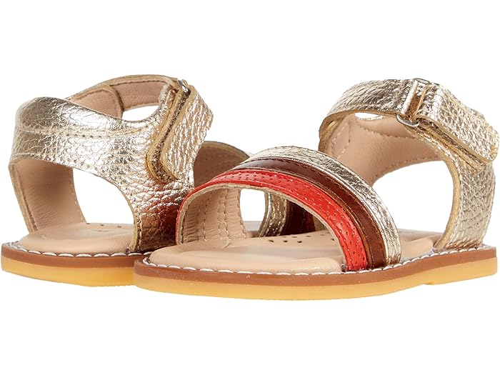() եƥ ߥå  (ȥɥ顼) Elephantito Missy Sandal (Toddler) Pop...
