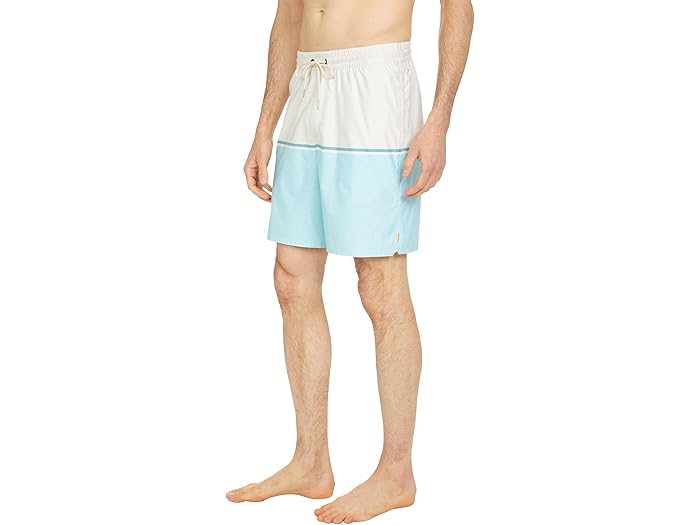 (取寄) クイックシルバー ウォーターマン ザ デック ストライプ ボレー 18 ボードショーツ Quiksilver Waterman The Deck Stripe Volley 18 Boardshorts Gulf Stream