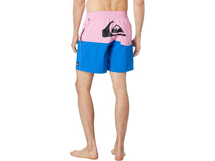 (取寄) クイックシルバー バット ロゴ 17 ボレー Quiksilver Butt Logo 17" Volley Moonlite Mauve