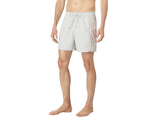(取寄) クイックシルバー エブリデイ ヴェールール 16 ボレー Quiksilver Everyday Vert 16" Volley Gray Violet (取寄) クイックシルバー エブリデイ ヴェールール 16 ボレー Quiksilver Everyday Vert 16" Volley Gray Violet