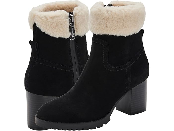 () ֥ ƥ ץ롼 Blondo Tia Waterproof Black Suede