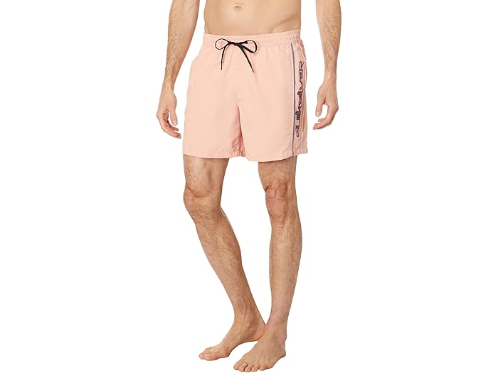 (取寄) クイックシルバー エブリデイ ヴェールール 16 ボレー Quiksilver Everyday Vert 16" Volley Dusty Pink