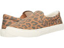 (取寄) クールプラネット バイ スティーブマデン COOL PLANET By Steve Madden Maisyy Leopard Canvas