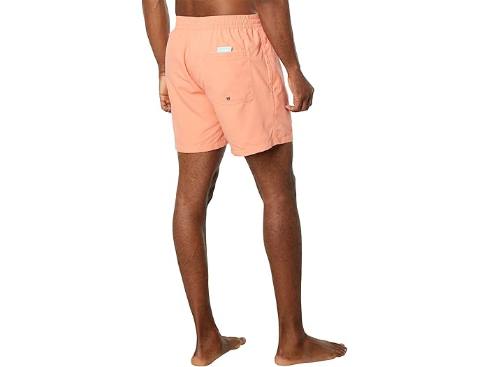 (取寄) クイックシルバー エブリデイ ヴェールール 16 ボレー Quiksilver Everyday Vert 16" Volley Fresh Salmon