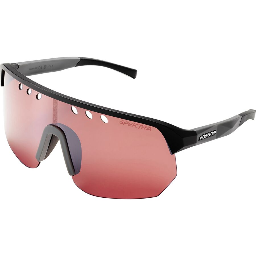 ()  ɥ 󥰥饹 Assos Donzi Sunglasses Chrome