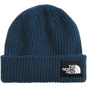 (取寄) ノースフェイス キッズ ソルティー ライン ビーニー 帽子 キャップ ニット帽 ハット 秋 冬 ブランド The North Face kids Salty Lined Beanie - Kids' Shady Blue